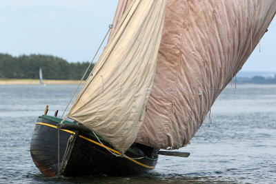 307 Semaine du Golfe 2015 - IMG_2262_DxO Pbase.jpg