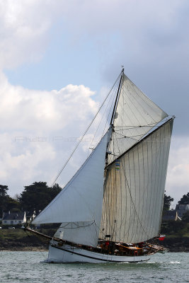 1480 Semaine du Golfe 2015 - IMG_3078_DxO Pbase.jpg