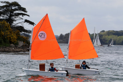 909 Semaine du Golfe 2015 - IMG_2620_DxO Pbase.jpg