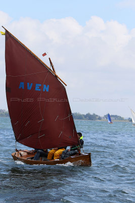 1054 Semaine du Golfe 2015 - IMG_2727_DxO Pbase.jpg