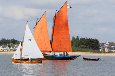 375 Semaine du Golfe 2015 - IMG_2297_DxO Pbase.jpg