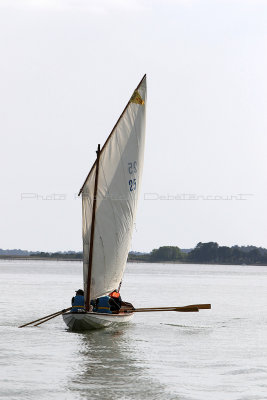 479 Semaine du Golfe 2015 - IMG_2381_DxO Pbase.jpg