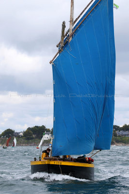 3039 Semaine du Golfe 2015 - IMG_4369_DxO Pbase.jpg