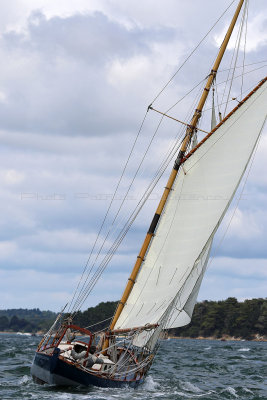 3188 Semaine du Golfe 2015 - IMG_4515_DxO Pbase.jpg