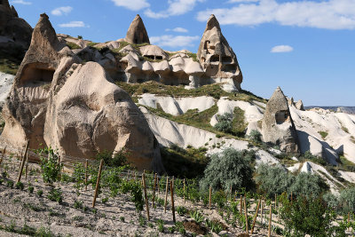 474 Vacances en Cappadoce - IMG_8446_DxO Pbase.jpg