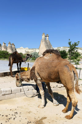 1069 Vacances en Cappadoce - IMG_9050_DxO Pbase 3.jpg