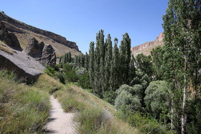 1874 Vacances en Cappadoce - IMG_9880_DxO Pbase 3.jpg