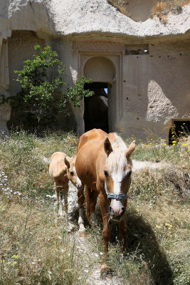 2348 Vacances en Cappadoce - IMG_0370_DxO Pbase 3.jpg