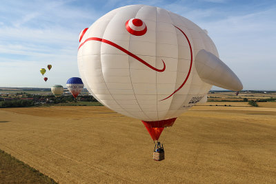 765 Lorraine Mondial Air Ballons 2015 - IMG_4202_DxO Pbase.jpg
