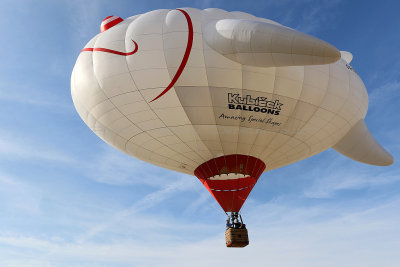 770 Lorraine Mondial Air Ballons 2015 - IMG_4207_DxO Pbase.jpg