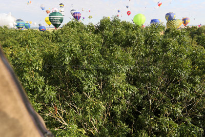 818 Lorraine Mondial Air Ballons 2015 - IMG_4234_DxO Pbase.jpg