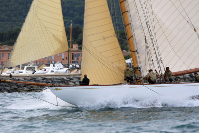 3281 Voiles de Saint-Tropez 2015 - IMG_9840_DxO Pbase.jpg