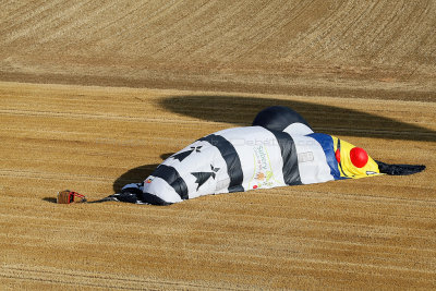 960 Lorraine Mondial Air Ballons 2015 - MK3_3610_DxO Pbase.jpg