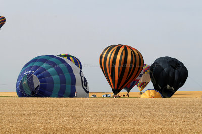 1028 Lorraine Mondial Air Ballons 2015 - MK3_3651_DxO Pbase.jpg