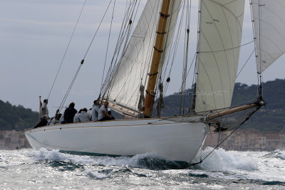 3642 Voiles de Saint-Tropez 2015 - IMG_0191_DxO Pbase.jpg