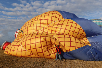 1837 Lorraine Mondial Air Ballons 2015 - IMG_4747_DxO Pbase.jpg