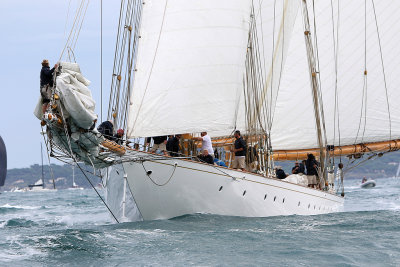 5188 Voiles de Saint-Tropez 2015 - IMG_1659_DxO Pbase.jpg