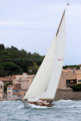 5792 Voiles de Saint-Tropez 2015 - IMG_2196_DxO Pbase.jpg