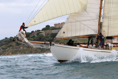 5843 Voiles de Saint-Tropez 2015 - IMG_2247_DxO Pbase.jpg