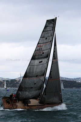 6161 Voiles de Saint-Tropez 2015 - IMG_2514_DxO Pbase.jpg