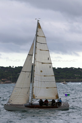 6168 Voiles de Saint-Tropez 2015 - IMG_2521_DxO Pbase.jpg