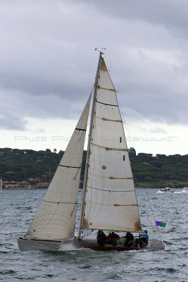 6169 Voiles de Saint-Tropez 2015 - IMG_2522_DxO Pbase.jpg