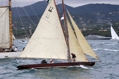 6182 Voiles de Saint-Tropez 2015 - IMG_2535_DxO Pbase.jpg