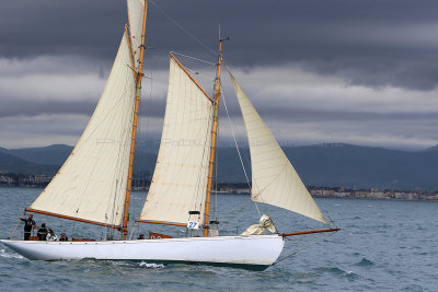 6236 Voiles de Saint-Tropez 2015 - IMG_2590_DxO Pbase.jpg