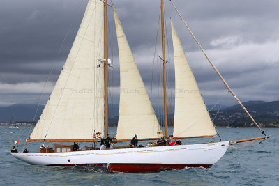 6244 Voiles de Saint-Tropez 2015 - IMG_2598_DxO Pbase.jpg