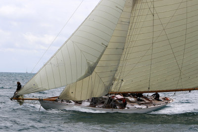 6254 Voiles de Saint-Tropez 2015 - IMG_2608_DxO Pbase.jpg