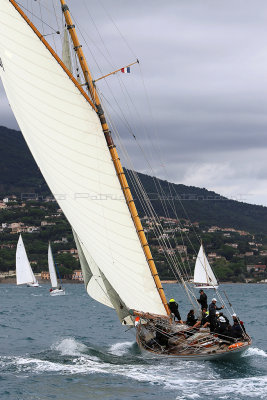 6264 Voiles de Saint-Tropez 2015 - IMG_2618_DxO Pbase.jpg