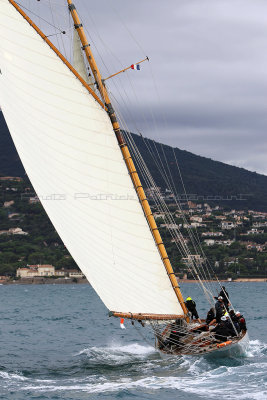 6265 Voiles de Saint-Tropez 2015 - IMG_2619_DxO Pbase.jpg