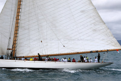 6288 Voiles de Saint-Tropez 2015 - IMG_2642_DxO Pbase.jpg