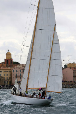 6336 Voiles de Saint-Tropez 2015 - IMG_2692_DxO Pbase.jpg