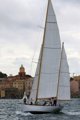 6337 Voiles de Saint-Tropez 2015 - IMG_2693_DxO Pbase.jpg