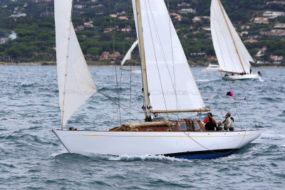 6353 Voiles de Saint-Tropez 2015 - IMG_2709_DxO Pbase.jpg