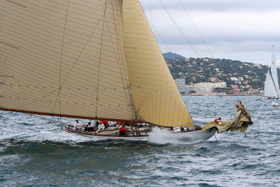 6365 Voiles de Saint-Tropez 2015 - IMG_2721_DxO Pbase.jpg