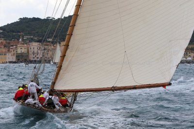 6373 Voiles de Saint-Tropez 2015 - IMG_2729_DxO Pbase.jpg