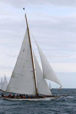 6420 Voiles de Saint-Tropez 2015 - IMG_2776_DxO Pbase.jpg