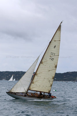 6454 Voiles de Saint-Tropez 2015 - IMG_2807_DxO Pbase.jpg