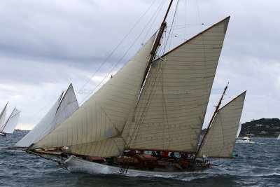 6593 Voiles de Saint-Tropez 2015 - IMG_2943_DxO Pbase.jpg