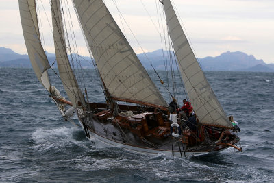 6597 Voiles de Saint-Tropez 2015 - IMG_2947_DxO Pbase.jpg