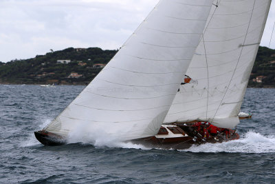 6628 Voiles de Saint-Tropez 2015 - IMG_2978_DxO Pbase.jpg