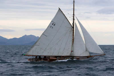 6690 Voiles de Saint-Tropez 2015 - IMG_3040_DxO Pbase.jpg