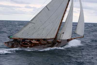 6724 Voiles de Saint-Tropez 2015 - IMG_3074_DxO Pbase.jpg