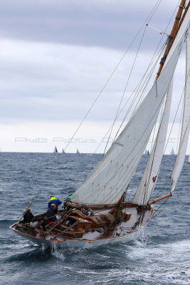 6744 Voiles de Saint-Tropez 2015 - IMG_3094_DxO Pbase.jpg