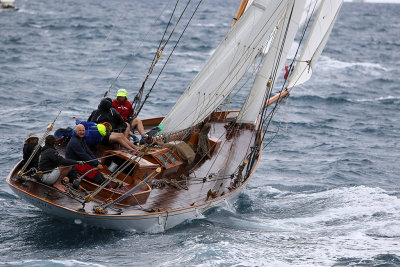 6750 Voiles de Saint-Tropez 2015 - IMG_3100_DxO Pbase.jpg