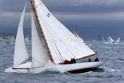 6782 Voiles de Saint-Tropez 2015 - IMG_3133_DxO Pbase.jpg