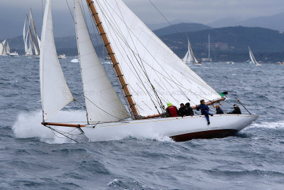 6798 Voiles de Saint-Tropez 2015 - IMG_3149_DxO Pbase.jpg