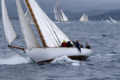 6802 Voiles de Saint-Tropez 2015 - IMG_3153_DxO Pbase.jpg